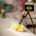 Karcher Steam Cleaner