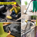 Karcher Steam Cleaner