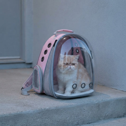 Lollimeow Expandable Cat Carrier Backpack